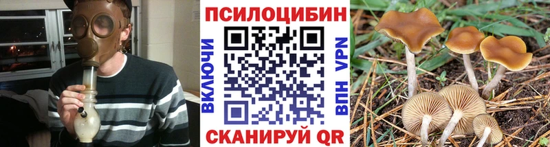 Псилоцибиновые грибы Psilocybe  ОМГ ОМГ зеркало  Пестово  продажа наркотиков 